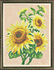 КА3-066 Солнечный цветок
