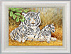 КА3-159 Семья бенгальских тигров